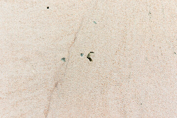 Apply sand rubbing plaster to masonry on concrete. Scratched and cracked dirty weathered sand textured plaster surface texture.