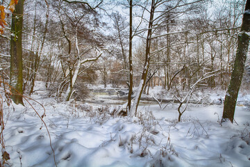 Winter landscapes on a frosty day. 