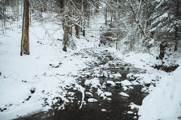 Bach im Winter