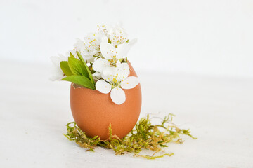 Bunch of white flowers in egg shells isolated on white background. Easter decoration with flowers in egg shells. Copy space