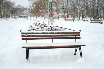 Bench covered with snow in the park
