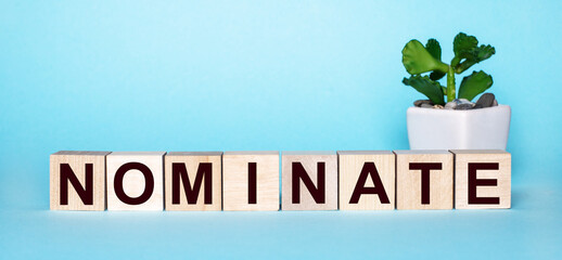 The word NOMINATE is written on wooden cubes near a flower in a pot on a light blue background