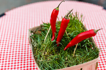 Red Chilli Background Fresh Organic Herb Ingredient for Sale in Market