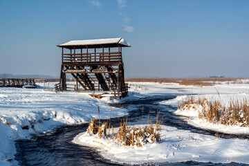 Zima w Narwiańskim Parku Narodowym, Podlasie, Polska © podlaski49