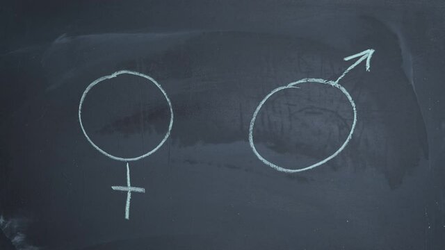 Boy and girl equality. Somebody draw an equality between female and man on the blackboard.