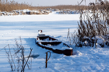 Zima w Narwiańskim Parku Narodowym, Podlasie, Polska © podlaski49