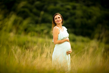 Young pregnant woman relaxing outside in nature