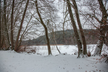 Winterwanderung am Gelterswoog, im Schnee, Kaiserslautern, Hohenecken, Strandbad, Wald , Naherholungsgebiet