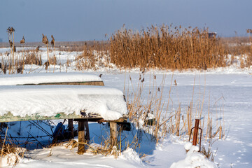Zima w Narwiańskim Parku Narodowym, Podlasie, Polska © podlaski49
