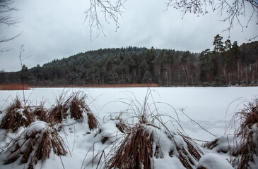 Winterwanderung am Gelterswoog, im Schnee, Kaiserslautern, Hohenecken, Strandbad, Wald , Naherholungsgebiet