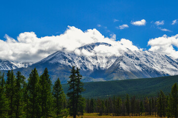 Obraz premium Severo-Chuyskiy range in Altai.