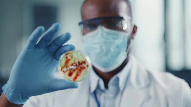 African American Male Scientist Wearing Face Mask and Glasses Looking a Petri Dish with Genetically Modified Sample Chemicals