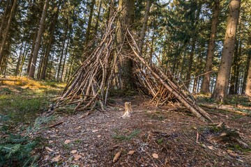 Mit Ästen wie ein Tippi  selbst gebauter Unterstand Unterschlupf im Wald an einem Baum mit...