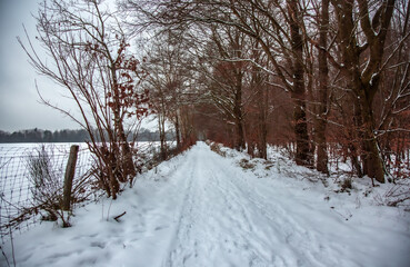 Fototapeta premium Winterwanderung am Gelterswoog, im Schnee, Kaiserslautern, Hohenecken, Strandbad, Wald , Naherholungsgebiet