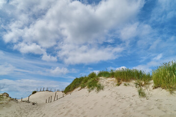 sand dunes with beach grass at Nymindegab Strand, Denmakr on a sunny summer day with scenic vivid blue sky and white clouds