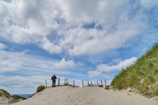 back view of an unidentifiable person under vivid blue sky with white clouds  in the sand dunes of the North Sea Coast in Nymindegab Strand, Denmark