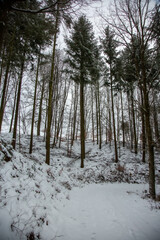 Winterwanderung am Gelterswoog, im Schnee, Kaiserslautern, Hohenecken, Strandbad, Wald , Naherholungsgebiet