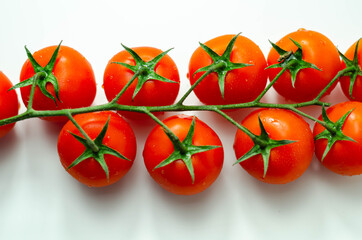 Covered with drops of water, fresh tomatoes with sprigs on white background
