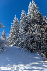 Winter landscape of Vitosha Mountain, Bulgaria