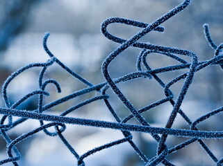 Wire fence covered with frost. Barbed wire covered with frost.