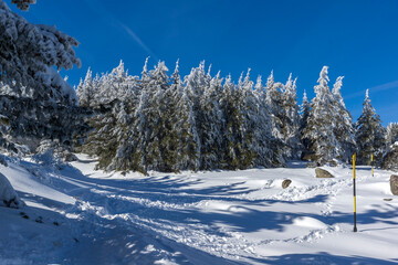 Winter landscape of Vitosha Mountain, Bulgaria