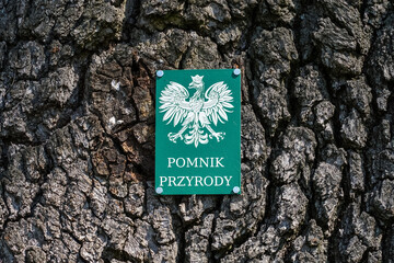 Natural monument sign on an old tree, Poland