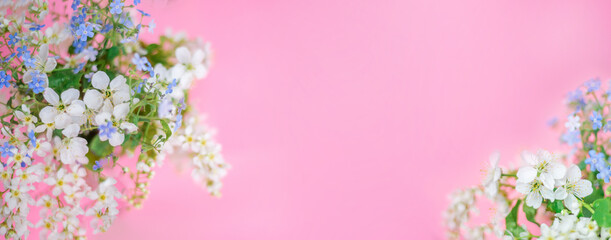 Obraz na płótnie Canvas Floral spring background. White and blue flowers on a pastel pink background. Spring banner. Top view, copy space.