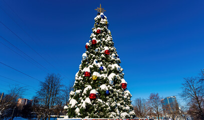 New Year's elegant Christmas tree in the park against the blue sky on a bright sunny day.