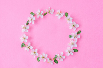 Flowers composition. Wreath made of apple tree flowers on pastel pink background. Spring concept. Flat lay, top view, copy space