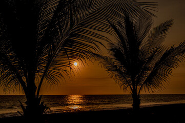 Siluetas de palmeras frente al mar en el atardecer 