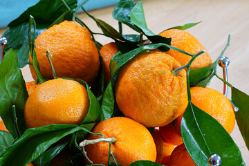 Satsuma orange mandarin fruit with leaves © eqroy