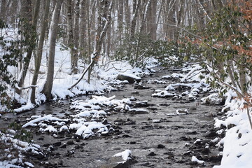 Beautiful snow covered stream in the woods