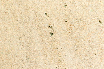 Apply sand rubbing plaster to masonry on concrete. Clean sand textured plaster surface texture.
