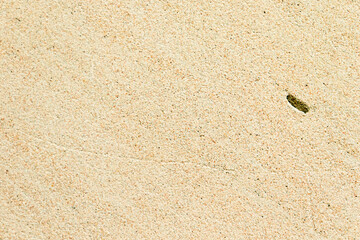 Apply sand rubbing plaster to masonry on concrete. Clean sand textured plaster surface texture.