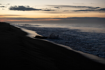 olas del mar sobre un palo de madera 