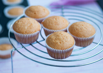  freshly baked cupcakes cool on a grid against a background of blurry pastry molds with muffins. High quality photo