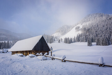 Mountain valley in winter. Chochołowska Valley, Tatra Mountains, Poland