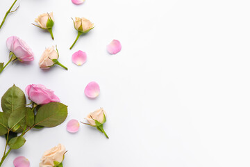 Beautiful roses on light background