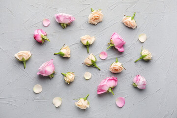Beautiful roses on grey background