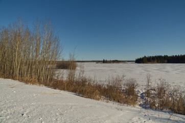 Astotin Lake Frozen on a Sunny Winter Day