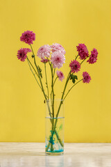 Flores de color morado y lila dentro de un vaso con agua de color azul. Concepto decoración de interiores minimalista