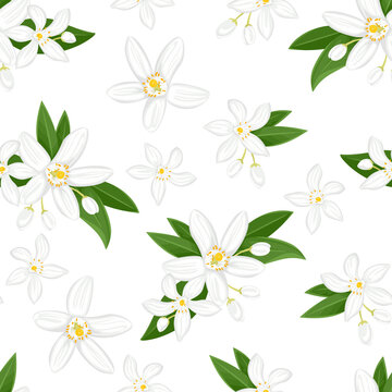 Seamless pattern with orange flowers. Blooming neroli. Floral background. Vector illustration of fragrant plant, green leaves and buds in cartoon flat style.