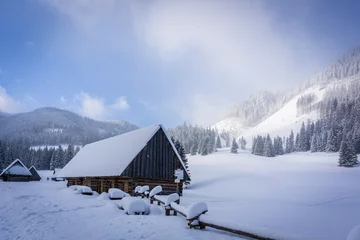 Fotobehang Mountain valley in winter. Chochołowska Valley, Tatra Mountains, Poland © K. Skubala