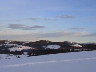 Schneelandschaft