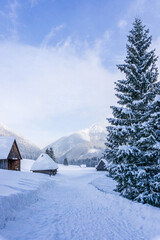 Mountain valley in winter. Chochołowska Valley, Tatra Mountains, Poland