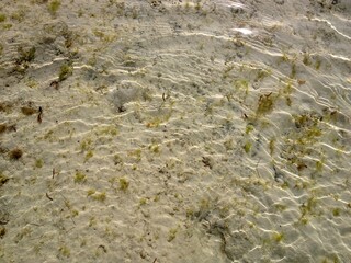 Coastline Zanzibar island Tanzania