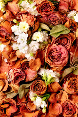 Close up of beautiful botanical composition with dry roses, petals and white flowers. Flat lay. Floral background