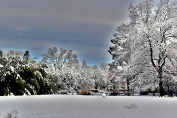 Winter im Stadtgarten in Freiburg