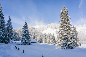 Mountain valley in winter. Chochołowska Valley, Tatra Mountains, Poland