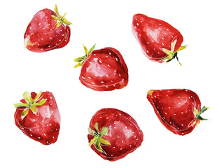 hand drawn set of strawberry. fruit illustration.